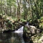 Imagen de Fervenza de Fírvado (Mazaricos)